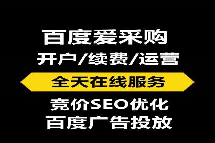 案例研究：百度推广托管助力电商品牌快速崛起